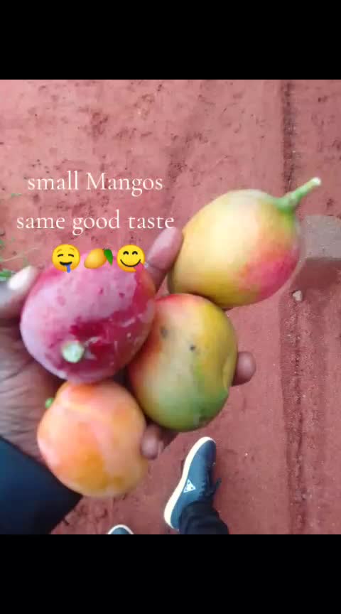 @ChampopoRocketsHardwoker