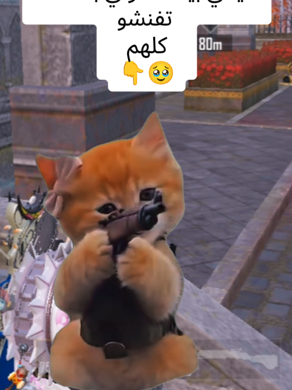 @๐๐ธ๐๐๐๐๐๐ฉท๐ฆ ุนูุจูููุฑ
