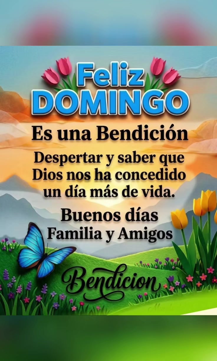 @Aracely Estrada