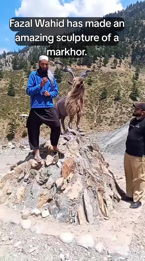 @Burhan Qureshi