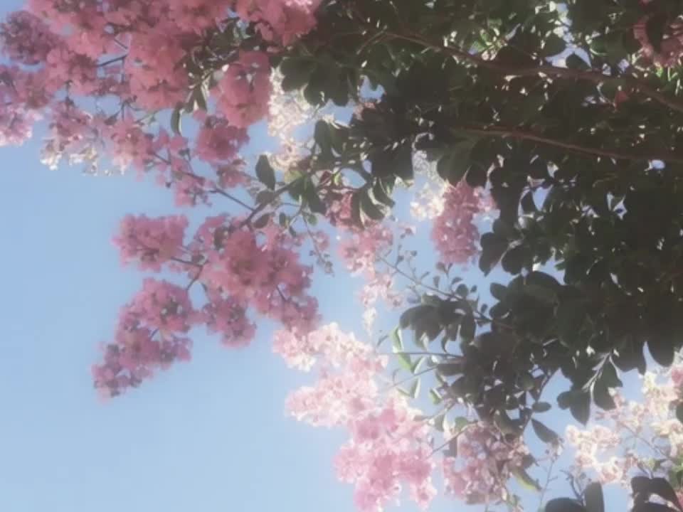 @𝘿𝙄𝙂𝙄𝙏𝘼𝙇𝙄𝙎