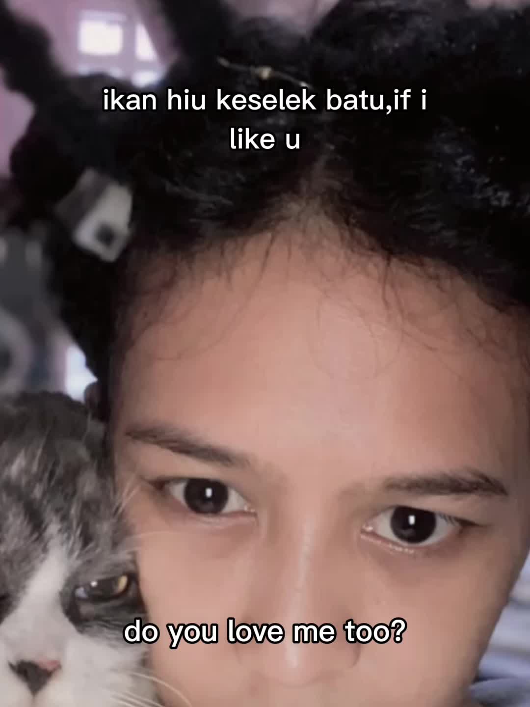 @akun tidak ditemukan