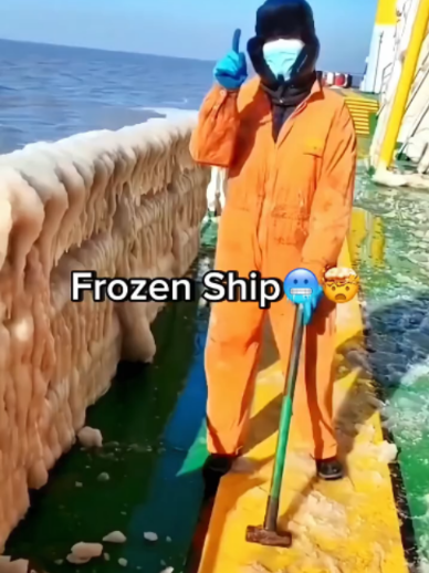 @𝐍𝐨𝐫𝐭𝐡 𝐒𝐞𝐚
