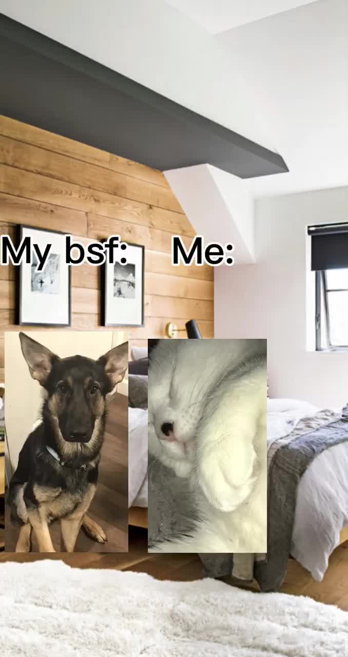 @senyiah