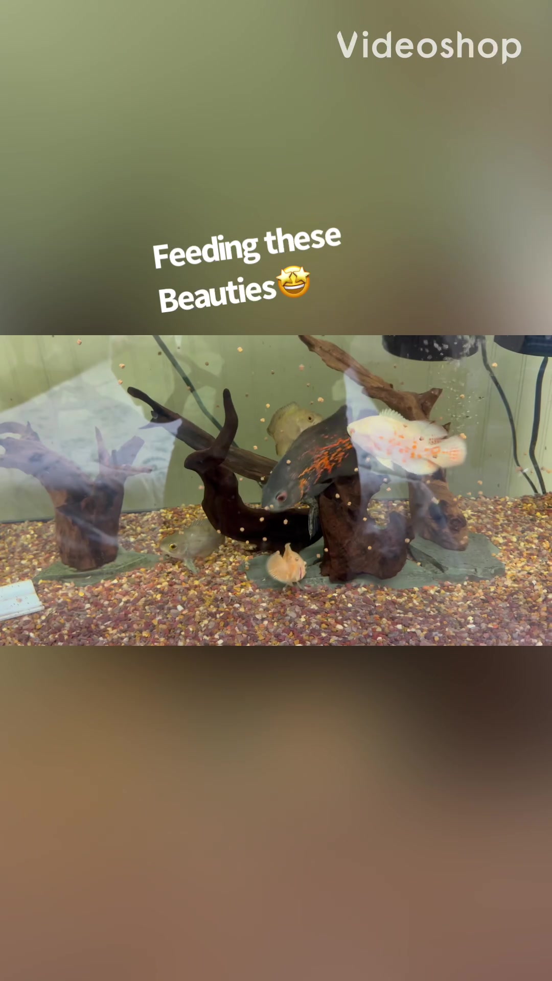 @fishdaddy2002
