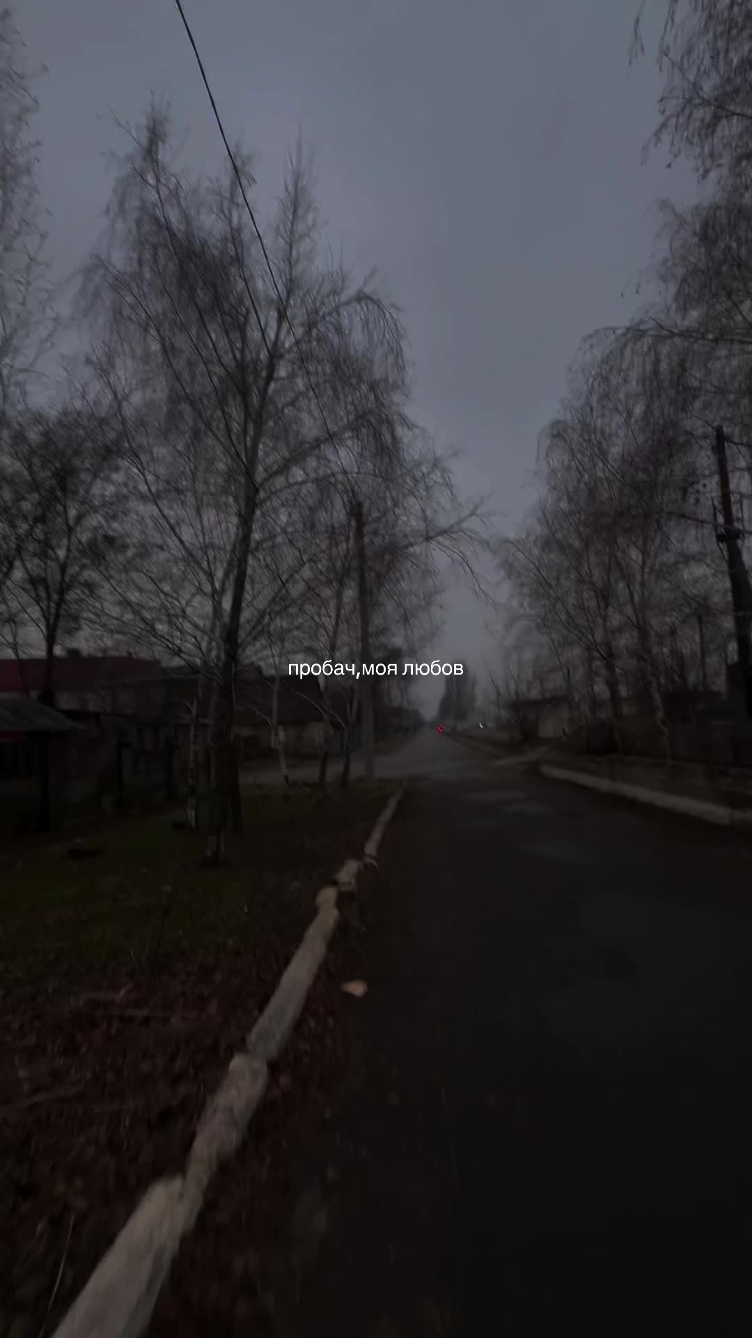 @viksis