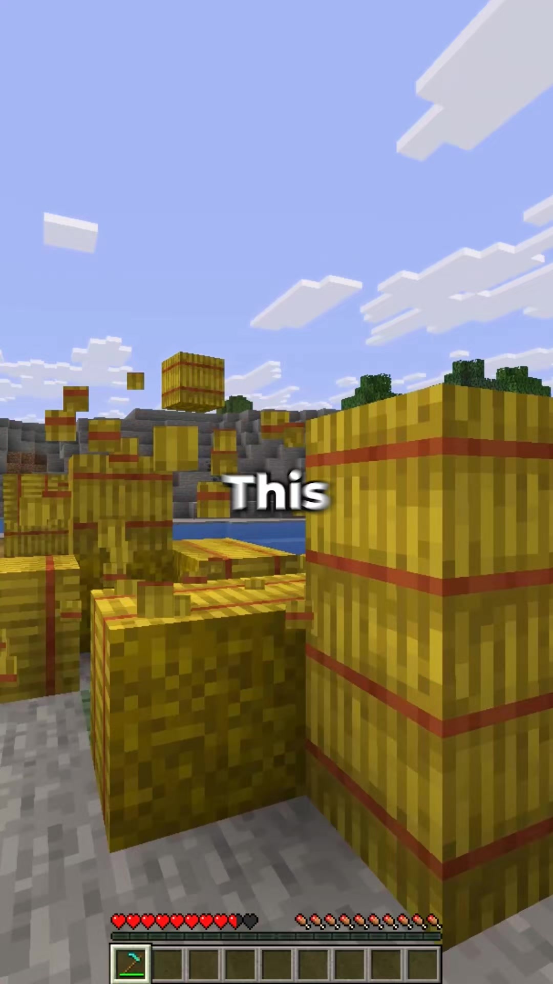 @RageMC