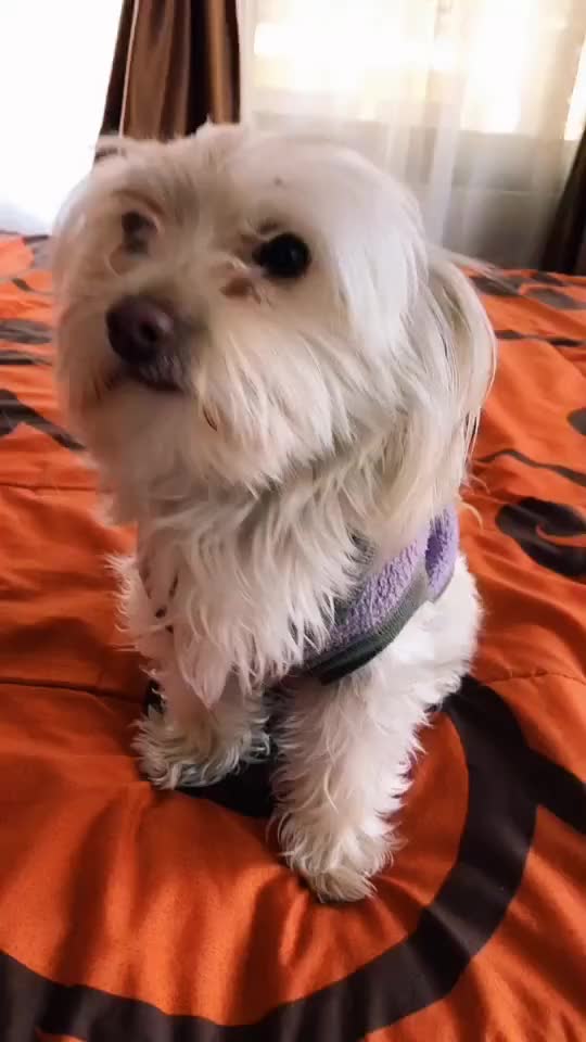 @ferdsdany