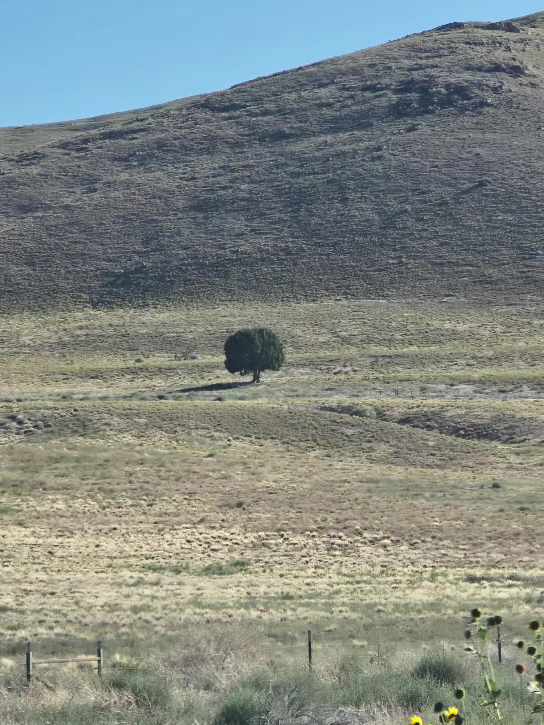 @guillermonportocarrer