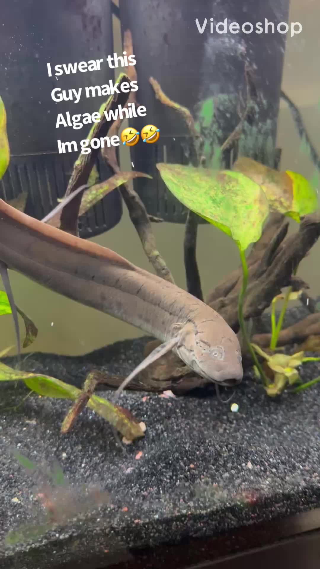 @fishdaddy2002