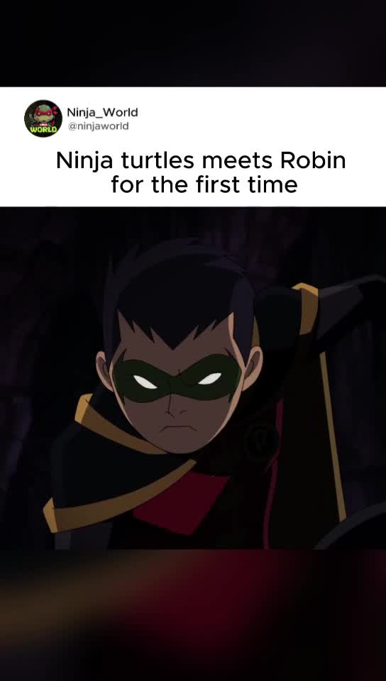 @ninjaworld_4