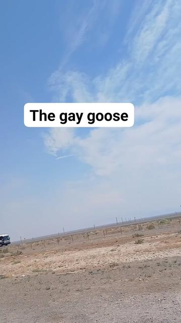 @kentgamezfatfuck