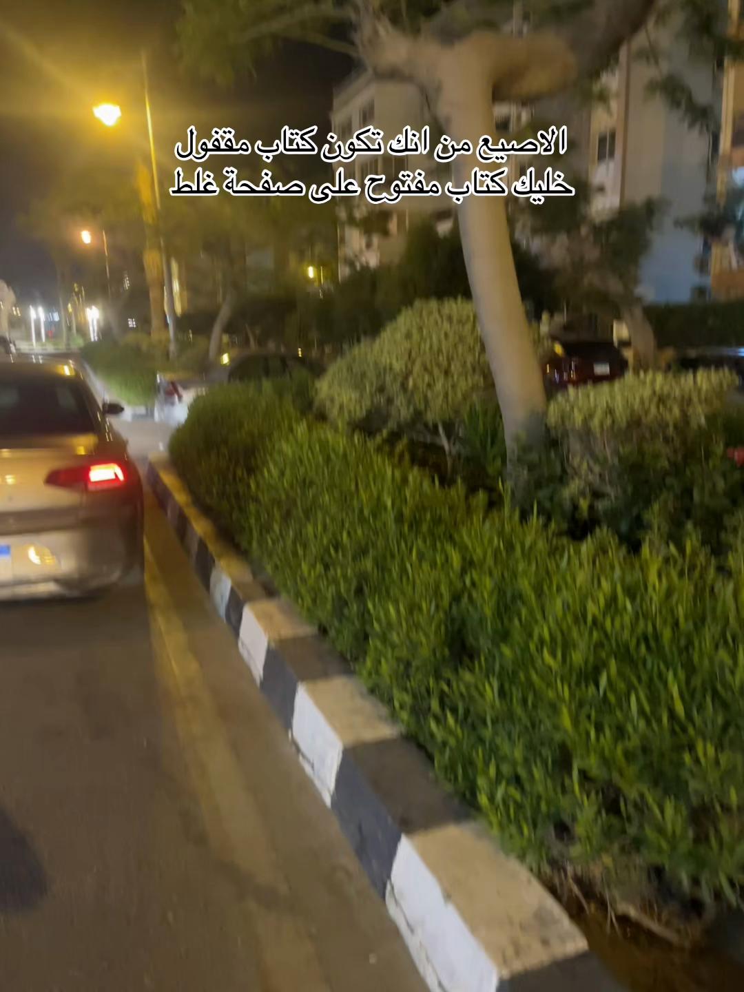 @Mostafa Rezeka