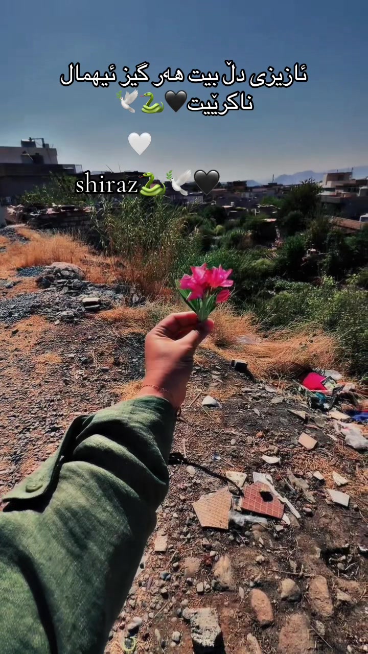 @Shiraz&ensp;qaladzayنەوەی نوێ✌️🧡