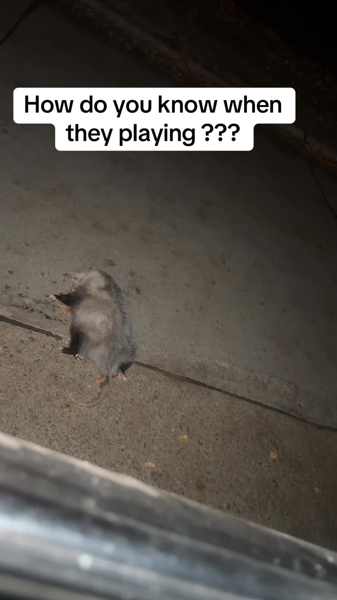 @AlmightyBri