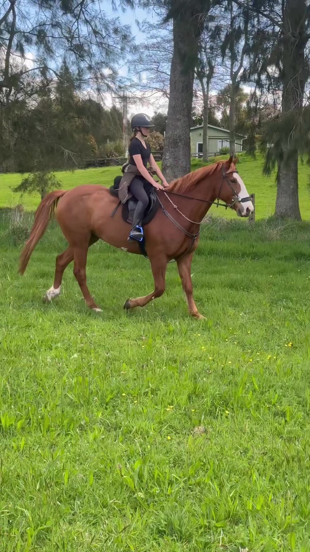 @rubi_andthe3iconicponies