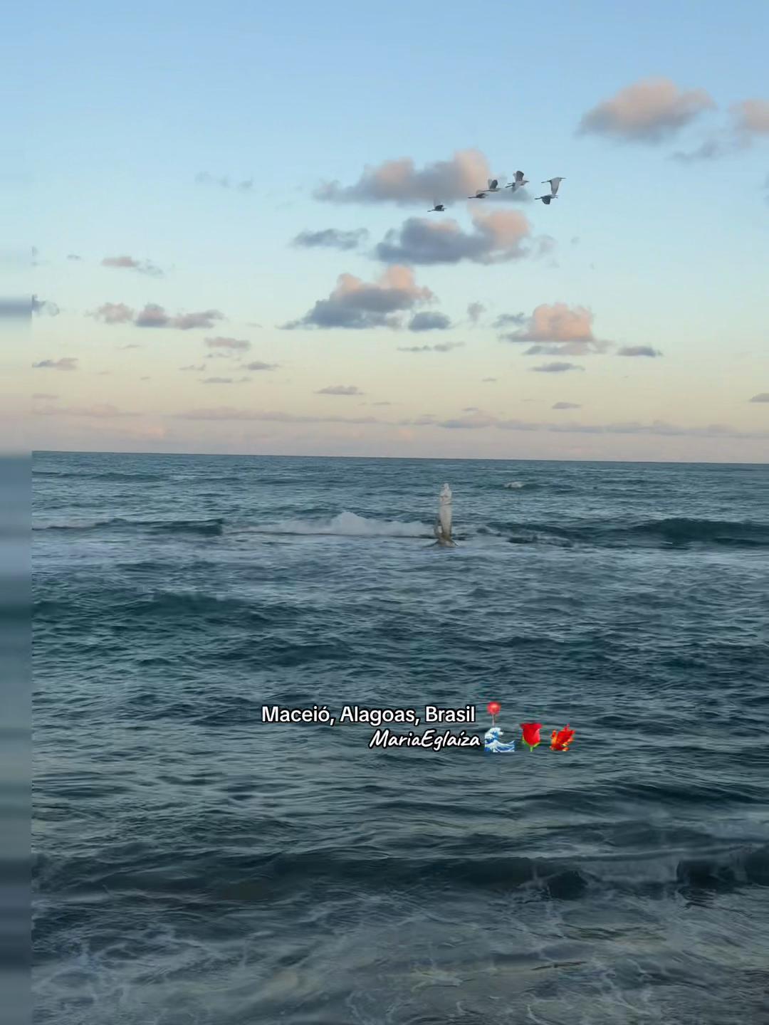 @MARIA🌊🌹🐦🔥