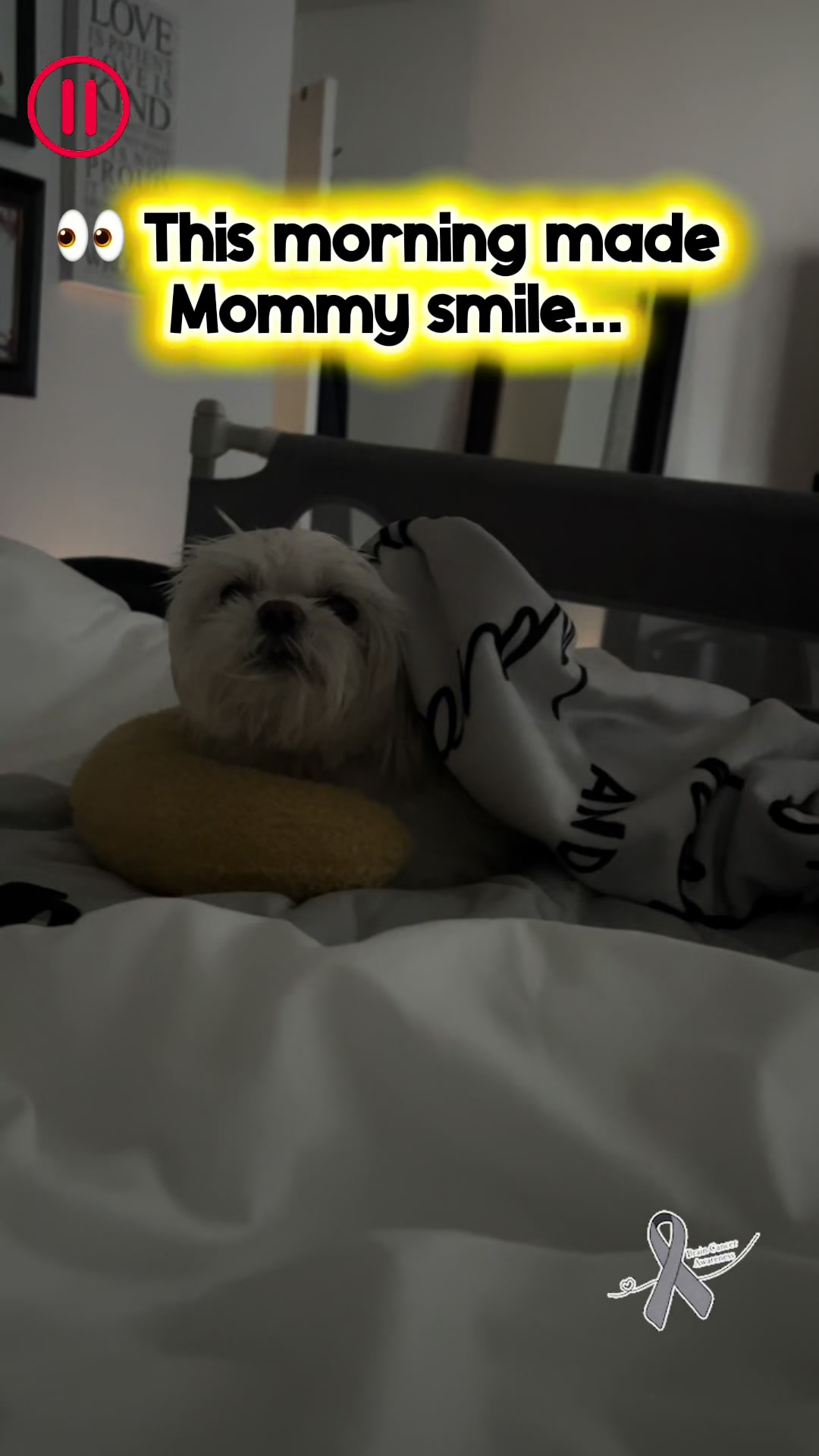 @BelDotLey