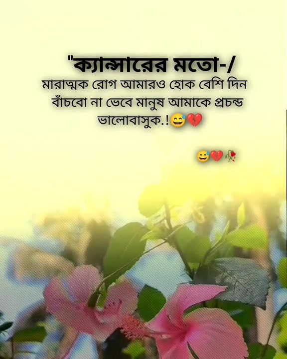 @❥═★..মাঁয়াঁবঁতীঁ..★═❥