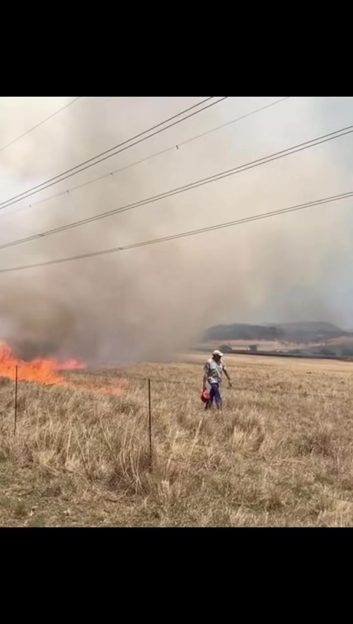 @FarmingKZN🇿🇦