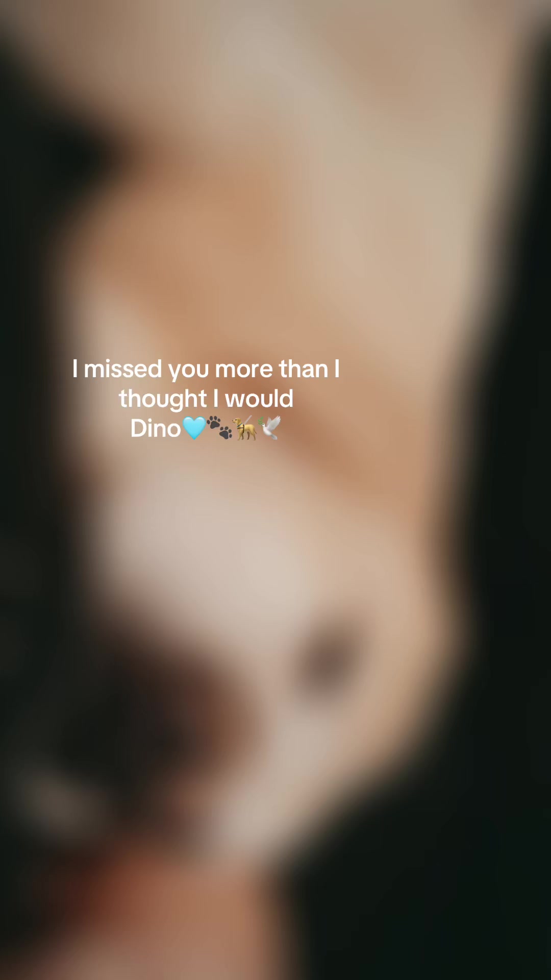 @ruby.s2202