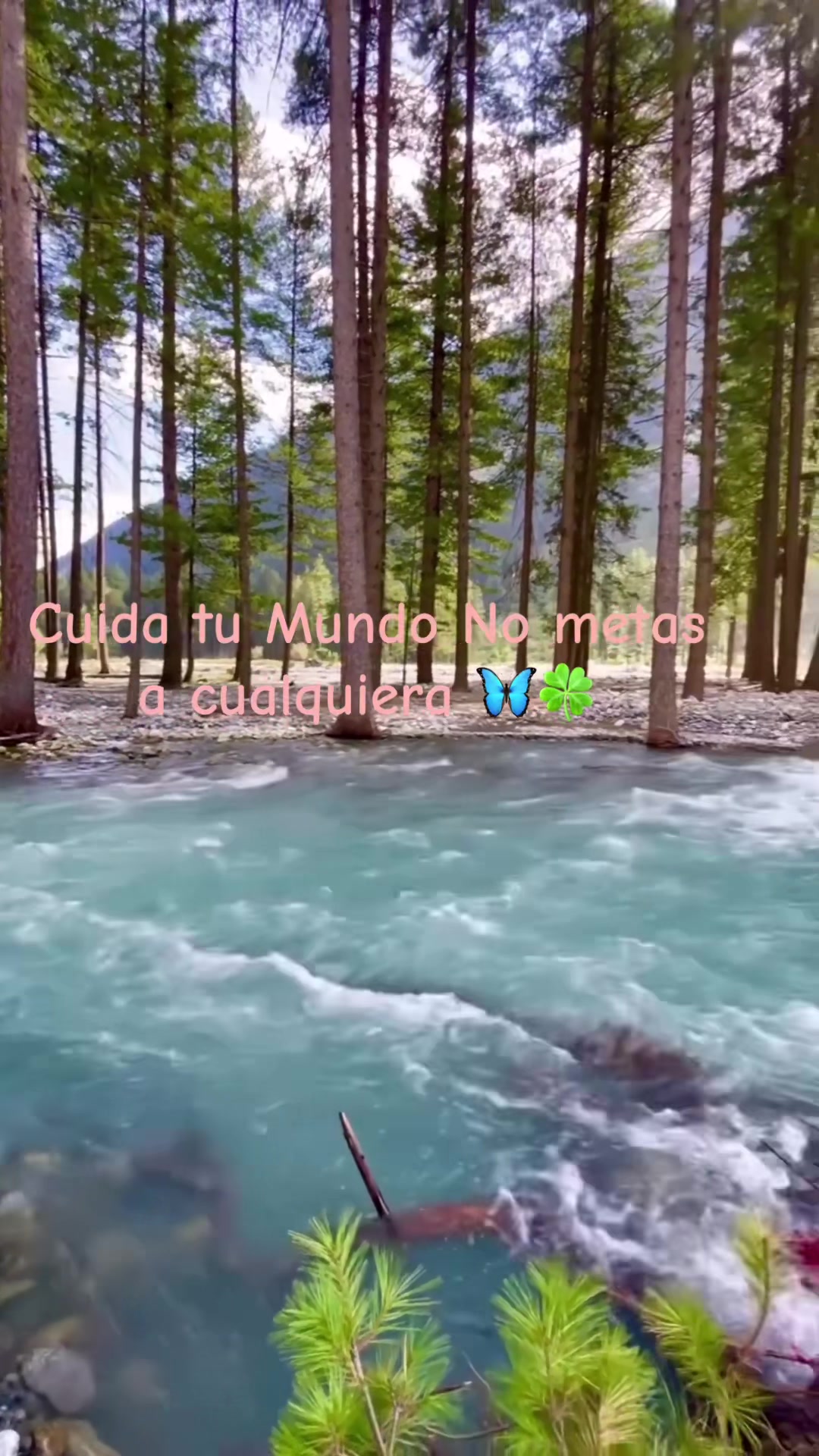 @Paola 🖤💀