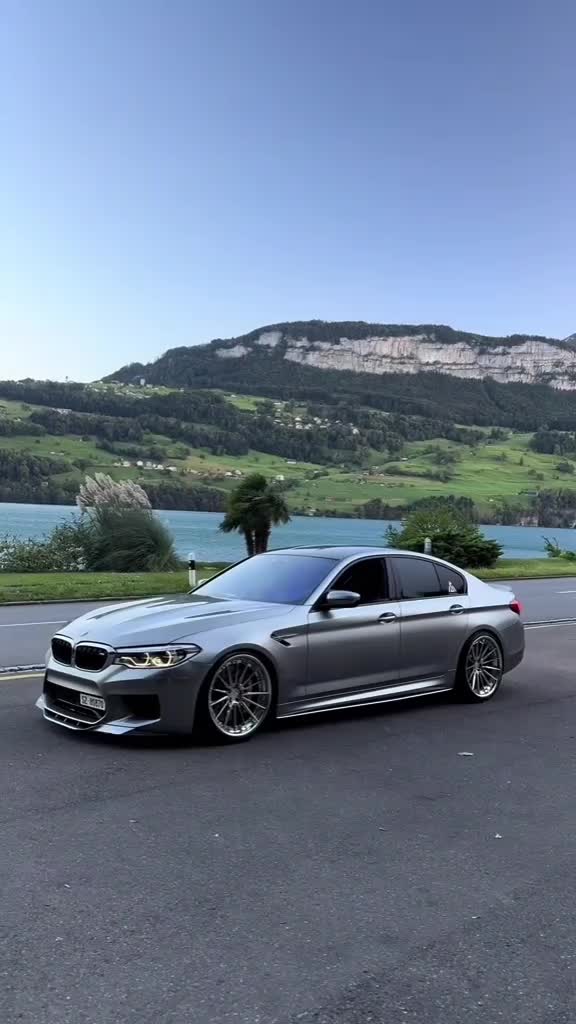 @abu.boshir