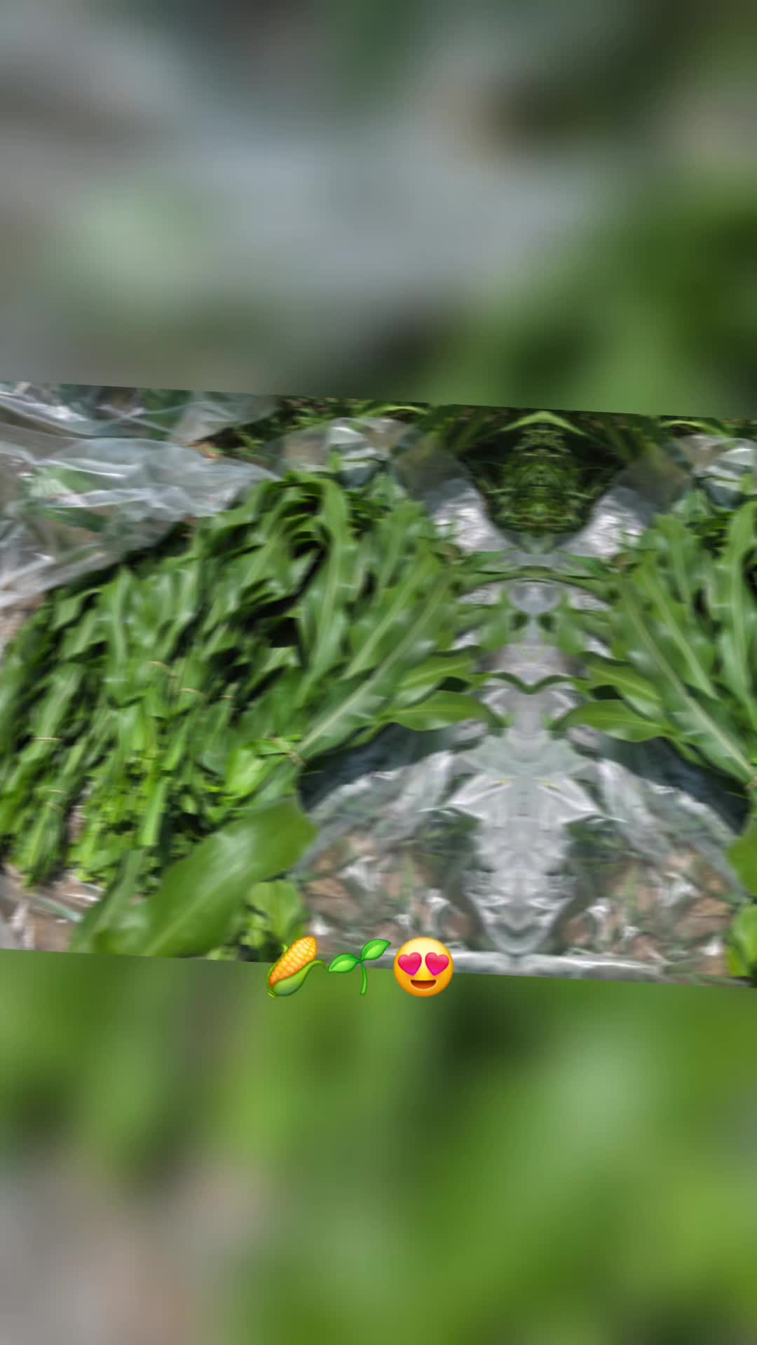 @๐๐ช๐๐502๐จ๐พ
