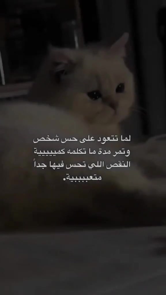 @خائب🌔| 𝟗𝟔𝟑🪫