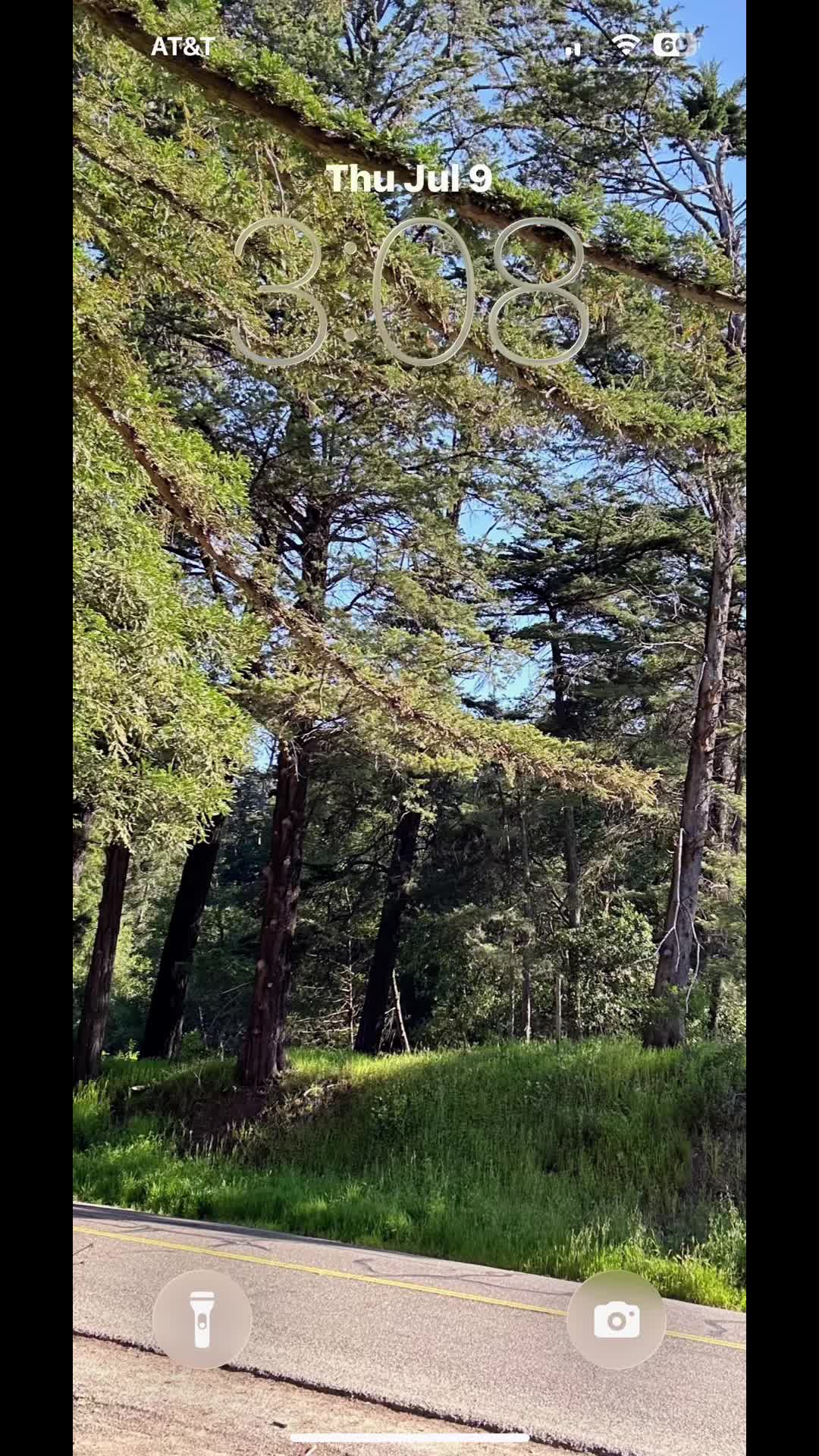 @🌲Forest Friend🌲🙏💗
