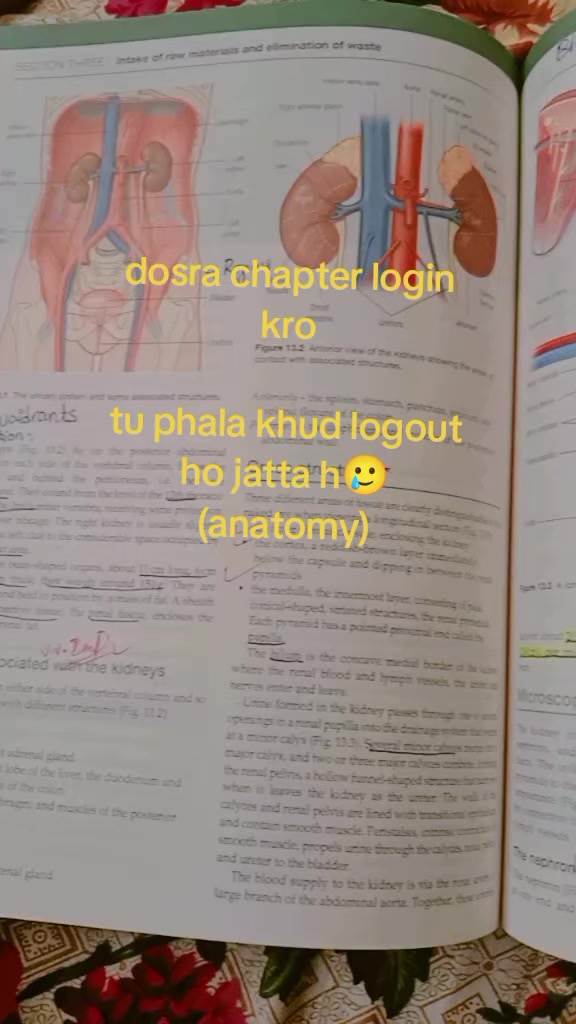 @BSN-Girl 🥼🧑&zwj;⚕️🩺