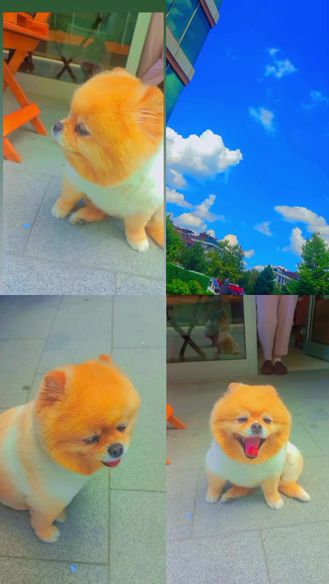 @シ Oha_𝐶aney シ🌺