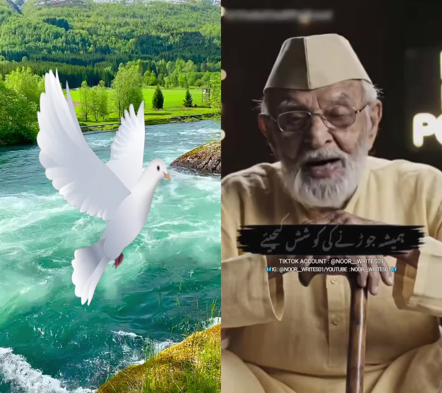 @sony0996