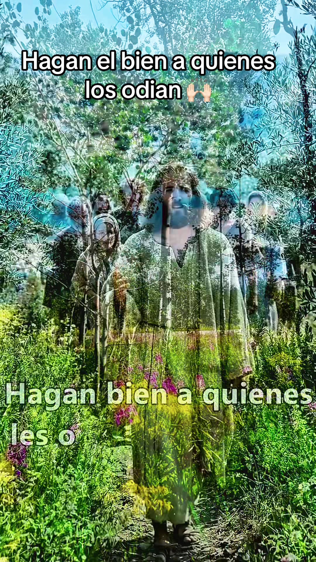 @Oracion & reflexion 🙏🏻