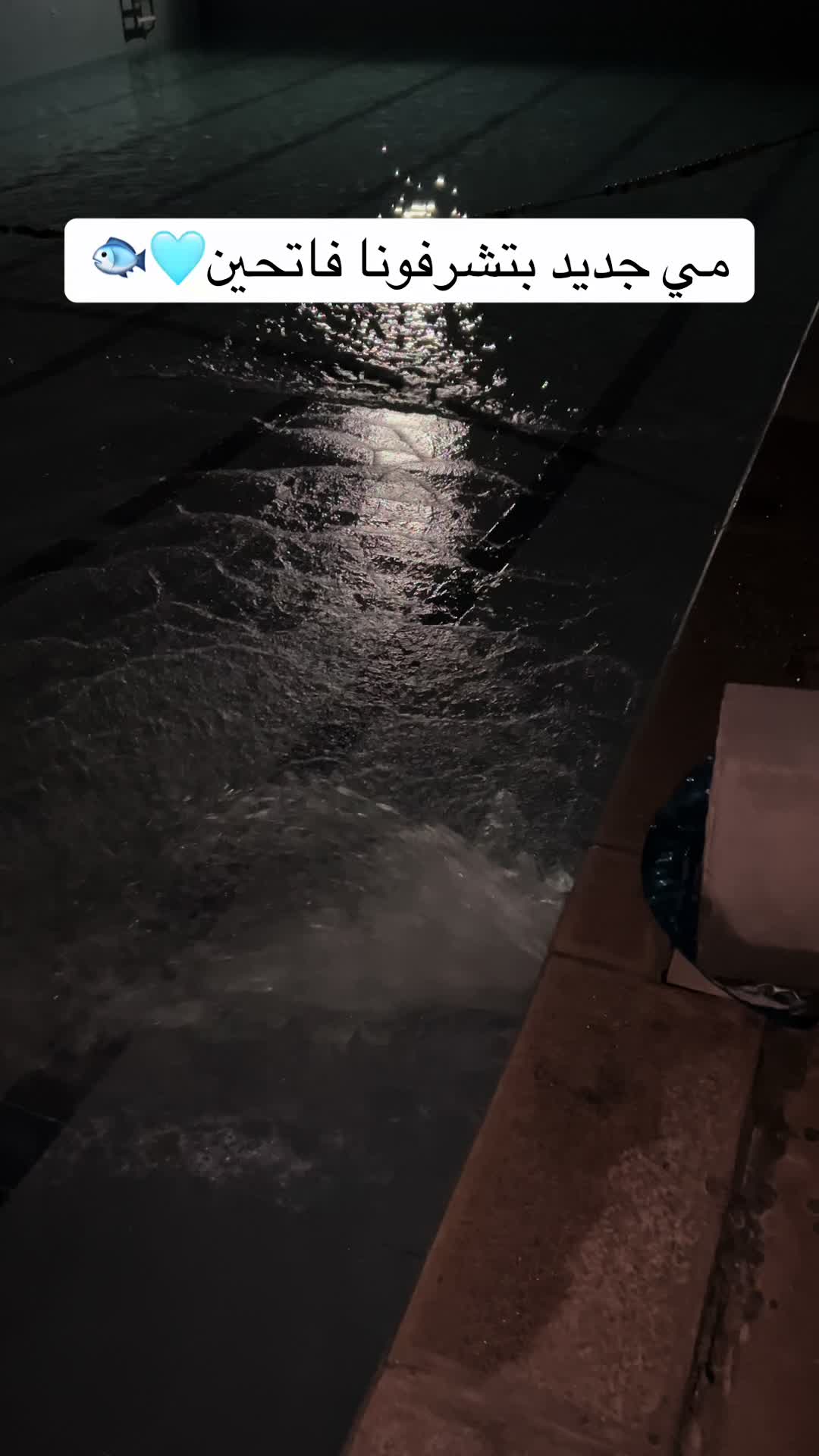 @مسبح الساحل 🏊🏻♂️🏊🏻♂️