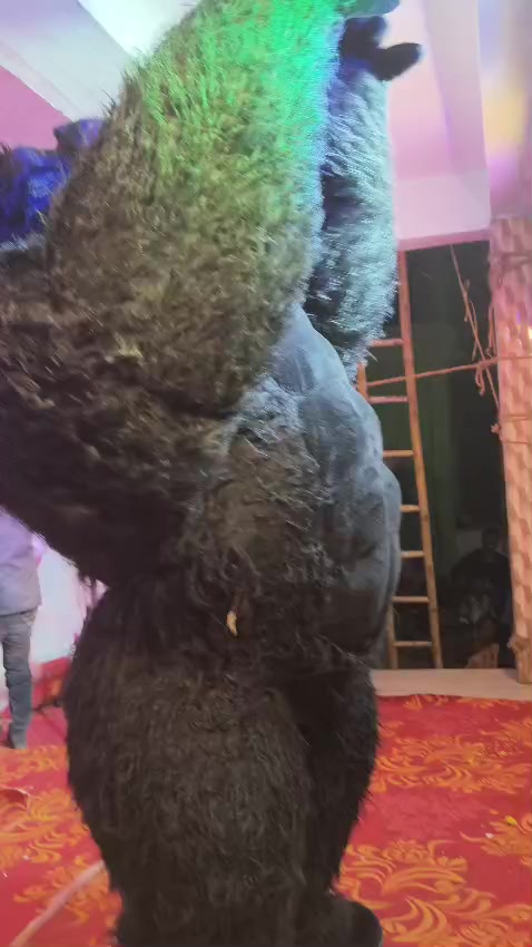 @varietybala