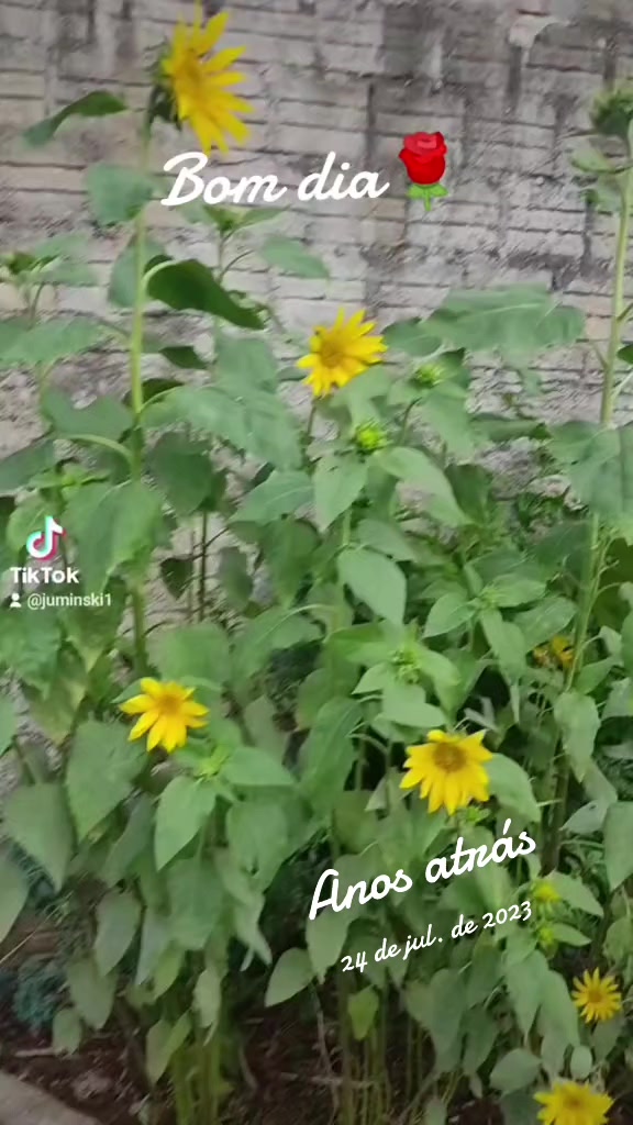 @Ju Minski