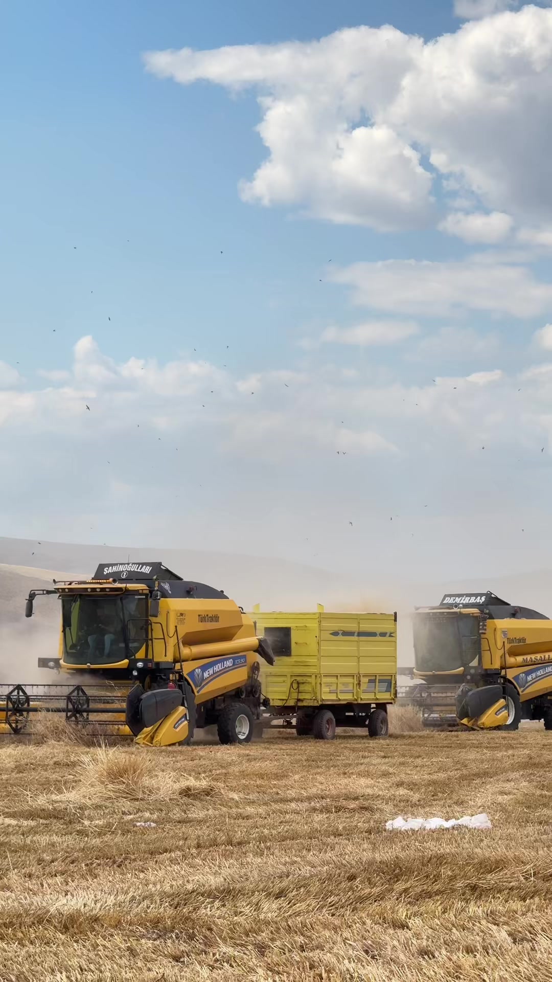 @İ𝐒𝐌𝐀İ𝐋 Ş𝐀𝐇İ𝐍 🦅