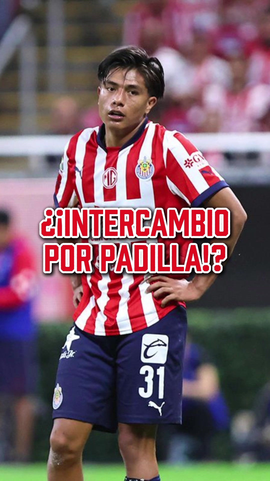 @Jesús Bernal