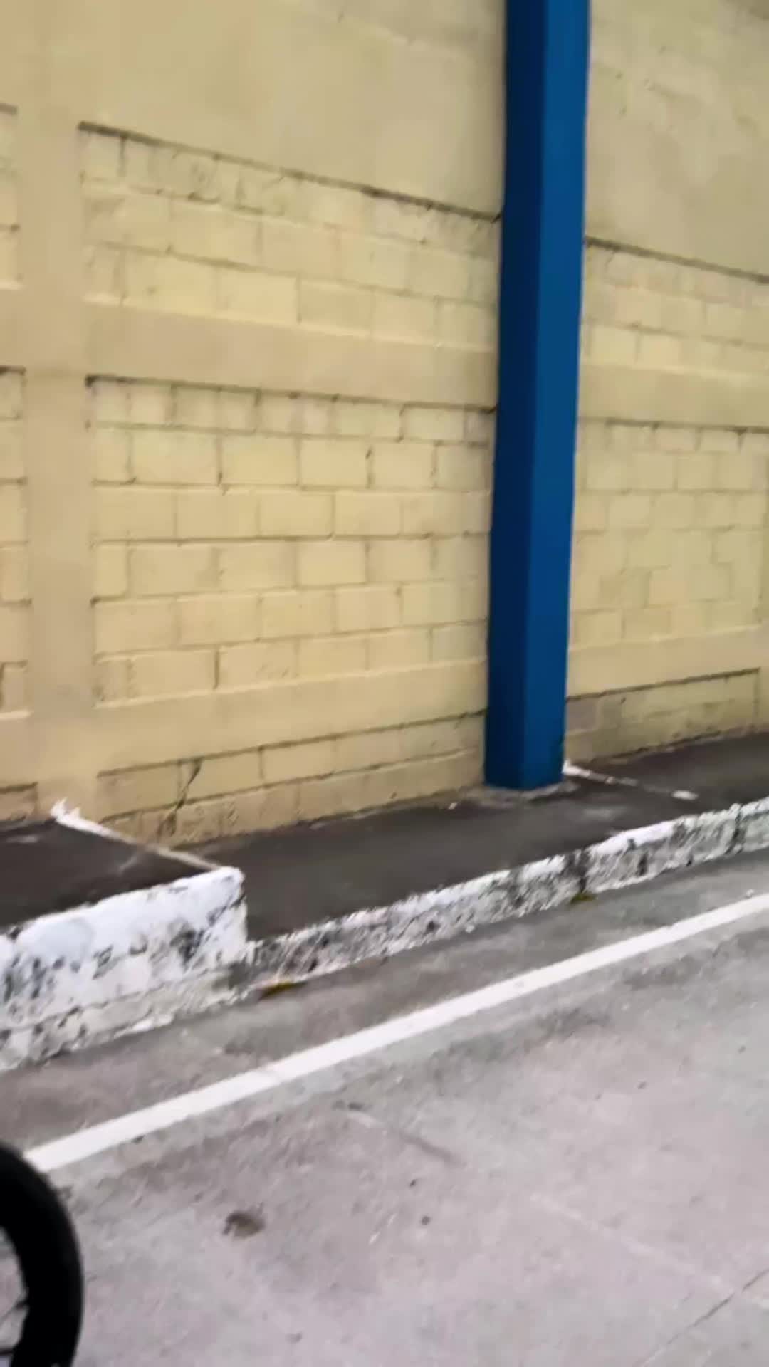 @️Andy Agustín🍂