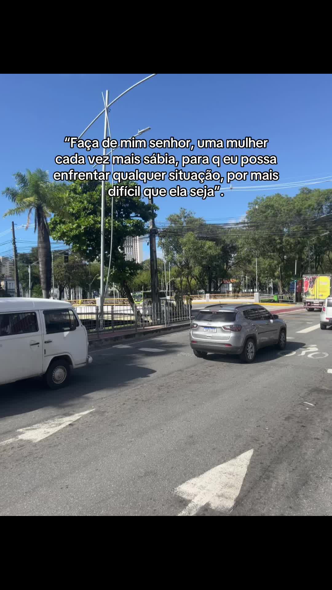 @1.cachinhos