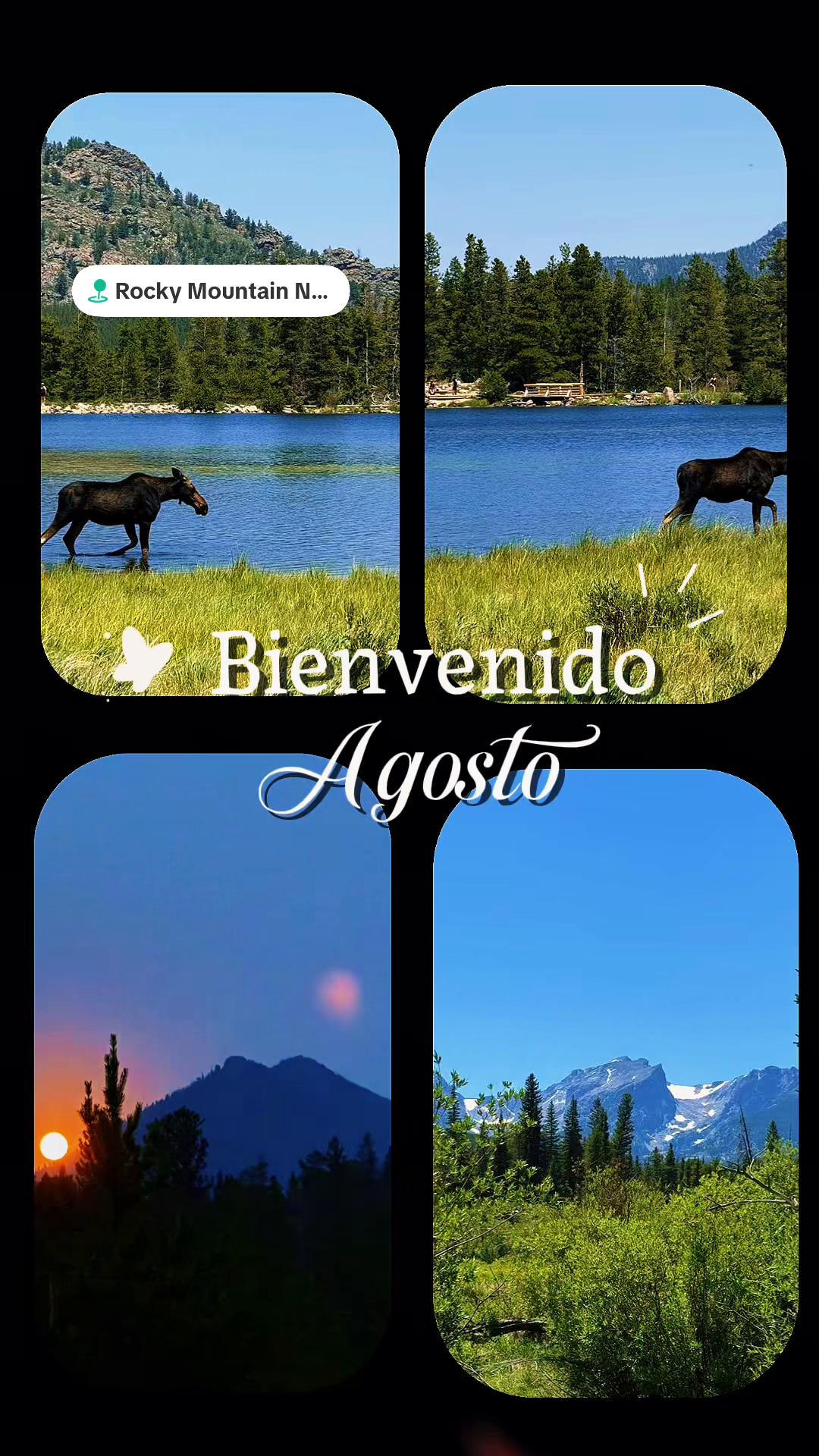 @🍑Iveth 🇭🇳 🇬🇹🇺🇸🇨🇦🇦🇷