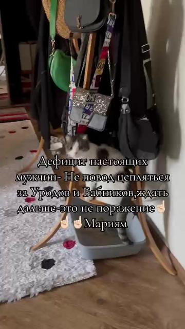 @Мариям