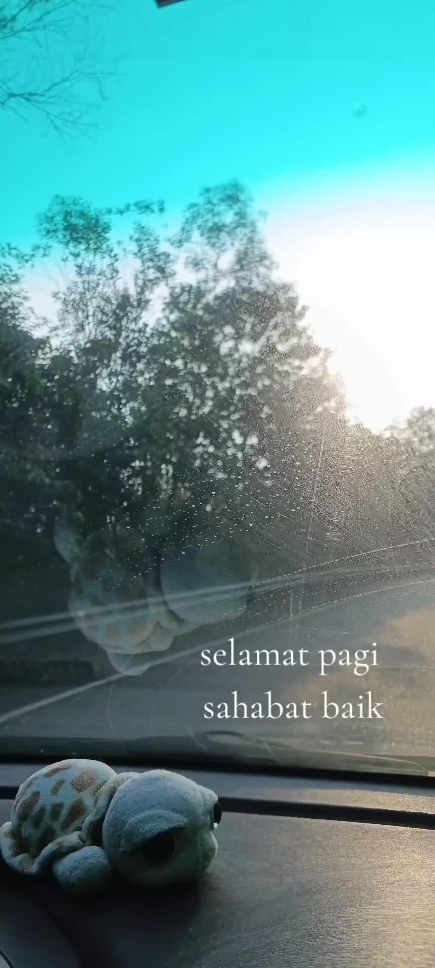 @Pak non