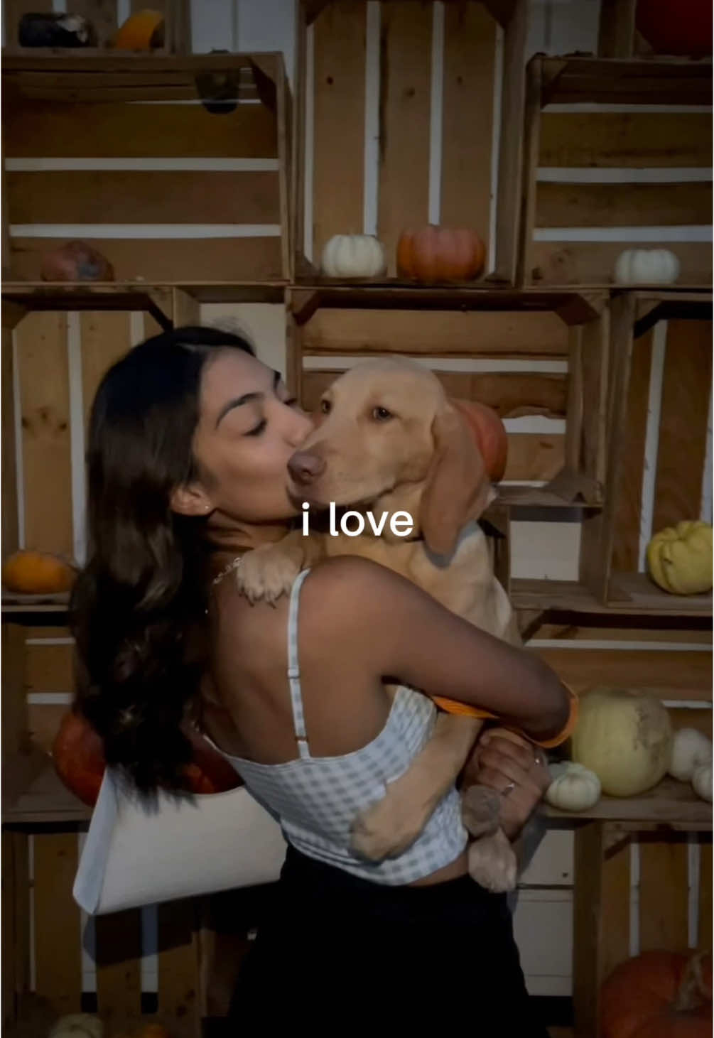 @ariannalon