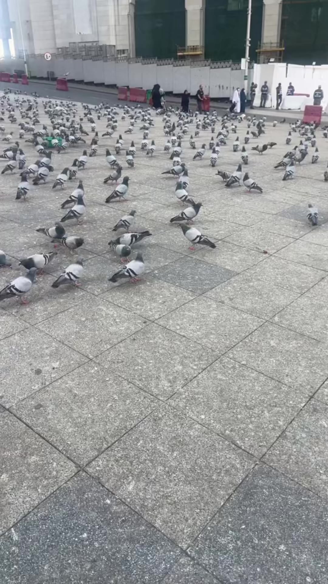 @روعة كوز متكس بيت لحم