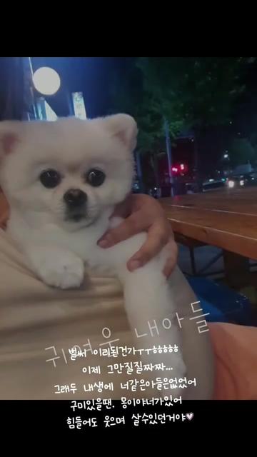 @୧⍣⃝ɷ초코ɞ୨