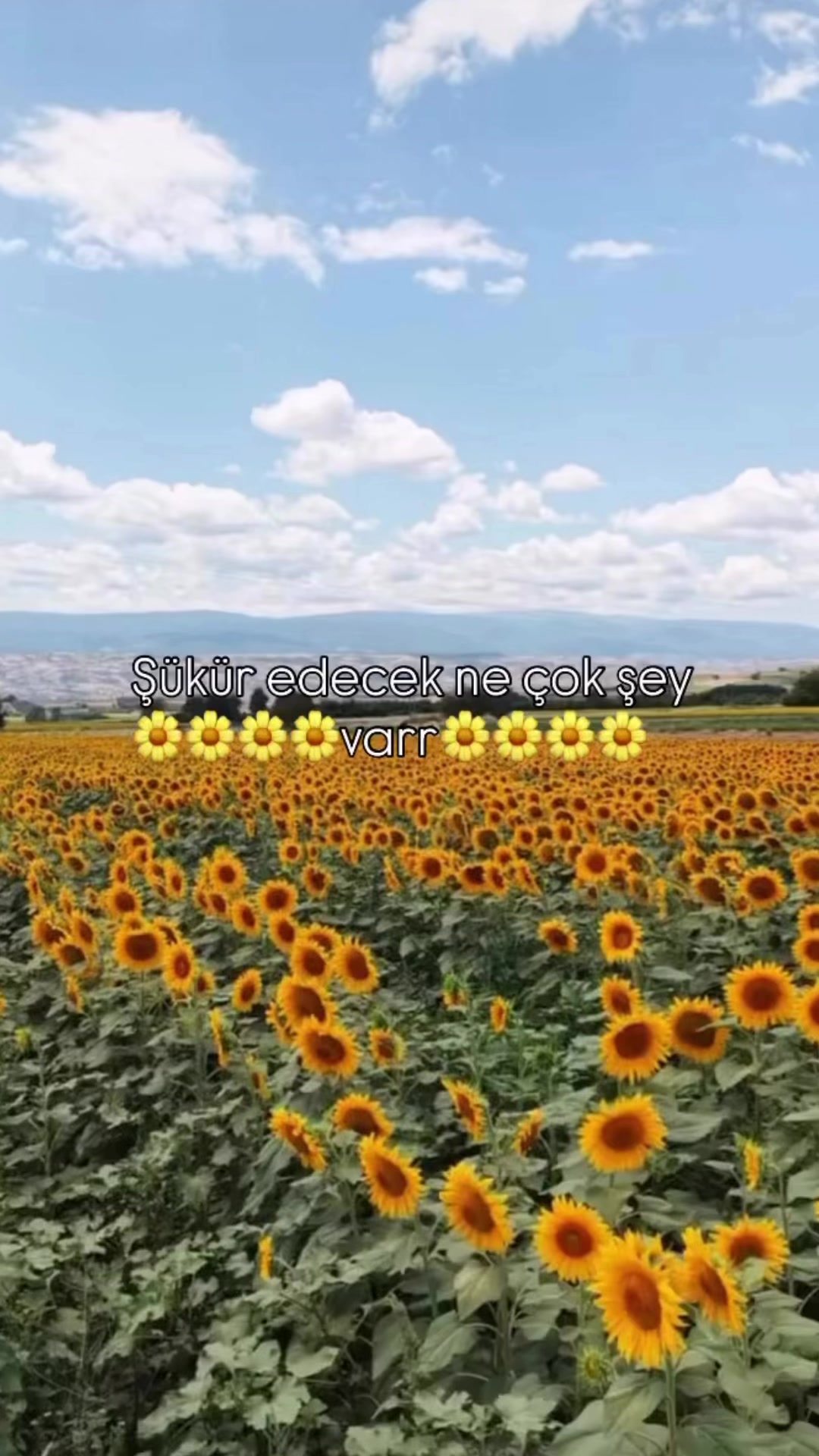 @FATOŞOĞUZ-3436