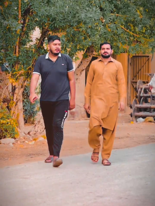 @ladlamalik488