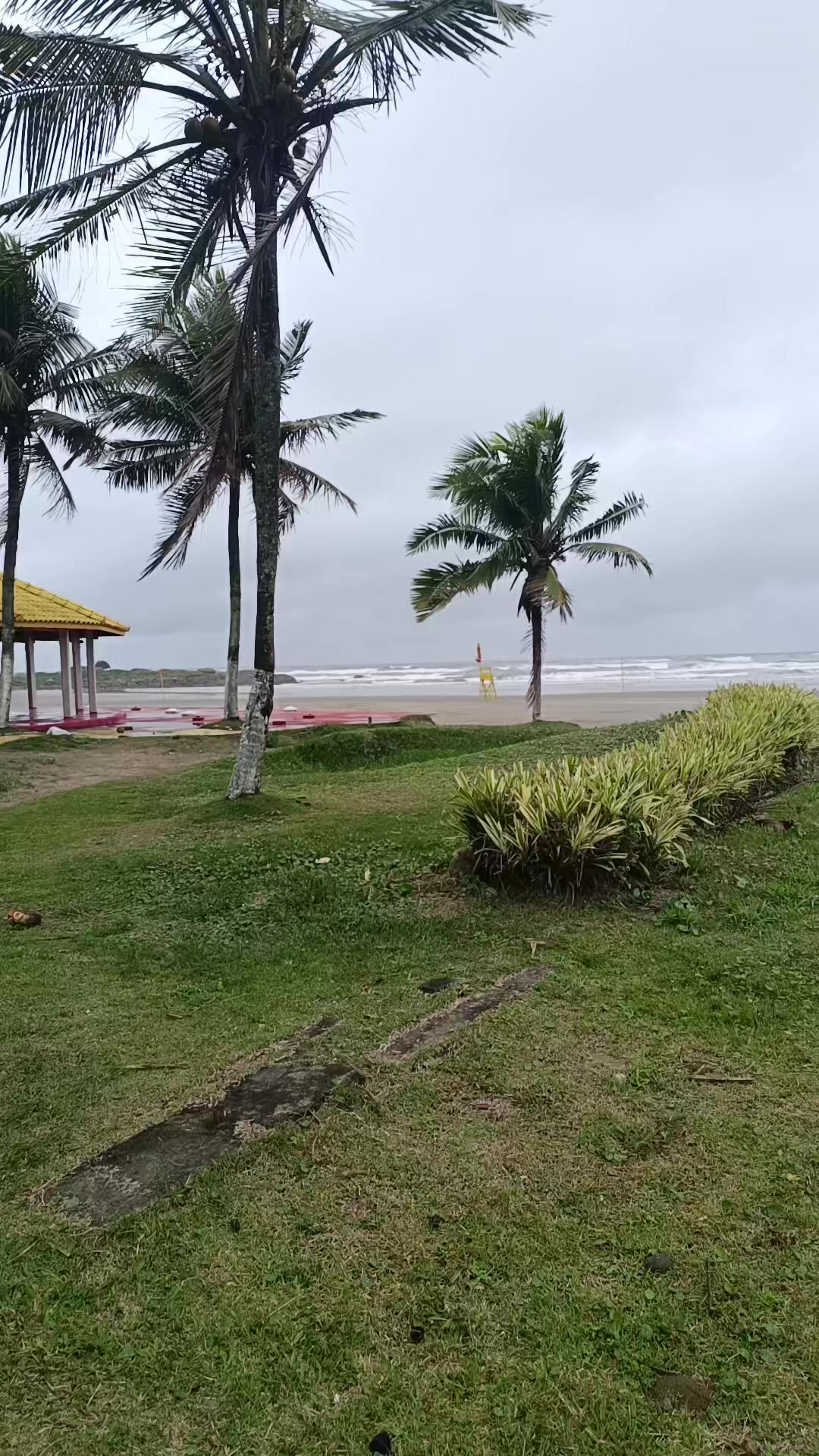 @🦁@ Tá sabendo Itanhaém? 🦁
